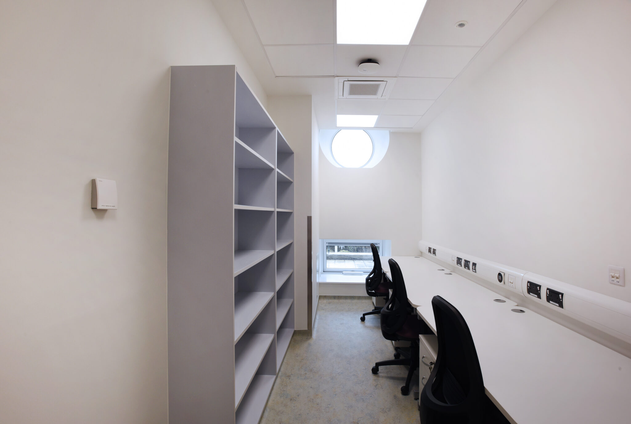 Photo David O'Shea© David Oshea Photography - www.osheaphotography.com - Further info david@osheaphotography.com Phone (m)+353 87 2577042 - (Office) +353 1 8391259